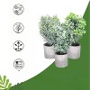 flybold Eucalyptus and Rosemary Greenery Mini Fake Plants - Set of 3, Gray - 2 of 4