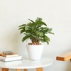 VisioGear 2-Pack Planter Pot for Indoor and Outdoor, White - Round Cone Planter Pot with Support Base, White, 10.2"*10.2"*9.4" - 4 of 4