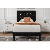 Bed Frames, Velvet Upholstered Bed Frame with Vertical Channel Tufted & Sturdy Wood Slats, Strong Wooden Slats/Platform Bed Frame Easy Assembly - 4 of 4