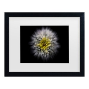 Trademark Fine Art - Brian Carson Backyard Flowers 46 Matted Framed Art - 1 of 4