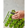 Burpee 36 Cell Superseed Seed Starting Tray : Target