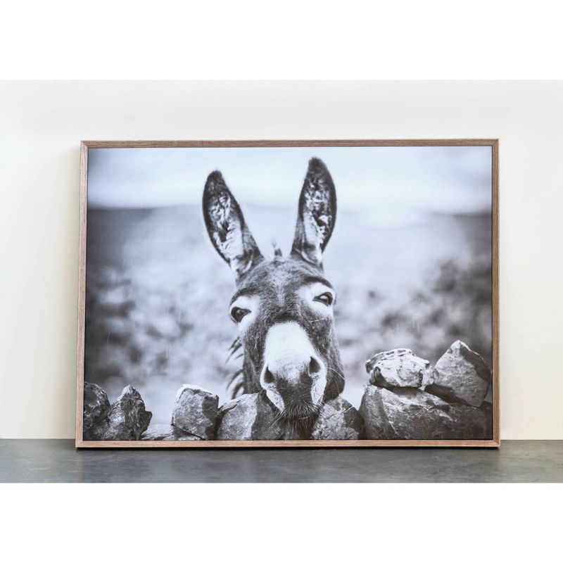 38.7&#34; x 28.7&#34; Donkey on Canvas Framed Wall Art Black/White -Storied Home, 3 of 10