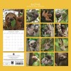 2026 Square Wall Calendar, Sloths, 16-Month Animals Theme with 180 Reminder Stickers (12x12 In) - 4 of 4