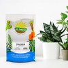 Soil Sunrise Long Fibered Sphagnum Peat Moss, for Orchid, Carnivorous Plant, Terrariums - 2 of 4