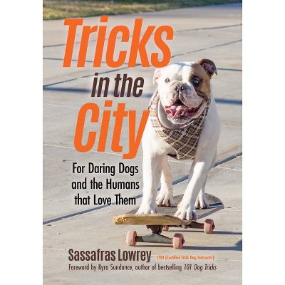 Tricks in the City - by  Sassafras Lowrey (Paperback)