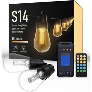 BlueAcorn Bluetooth LED Edison Indoor/Outdoor String Lights for patio, 48ft - 1 of 4