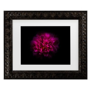 Trademark Fine Art - Brian Carson Backyard Flowers 55 Matted Framed Art - 1 of 4