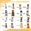 LOVMOR Whelping Box for Dogs Built for Mother's Comfort - 4 of 4