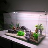 Unique Bargains Artificial Aquarium Grass Ball for Fish Tank Landscape Decoration Green 2.17x4.72 Inch 1 Pcs - 2 of 4
