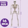 Joyfy 16” 10 PCS Halloween Full Body Poseable Skeleton, Hanging Plastic Skeletons with Movable Joints for Graveyard Haunted House Party Prop Decor - 2 of 4
