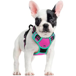 rabbitgoo Dog Harness No Pull with 2 Leash Clips, Control Handle for Large Dogs, Hot Pink & Turquoise, S - 1 of 1