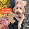 Buddy Biscuits Grain-Free Oven baked Treats with Peanut Butter Dry Dog Treats - 14oz - 4 of 4