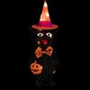 Northlight 24" Lighted Black Cat in Witch's Hat Outdoor Halloween Decoration - 3 of 4