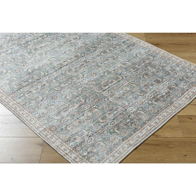 Hauteloom Ayanna Living Room, Bedroom Machine Washable Area Rug - Traditional