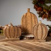 8"H  9"H & 12.25"H Sullivans Rustic Wooden Pumpkin Set of 3  Natural - 3 of 4