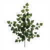 Ivy Foliage Spray (Set of 6) - 2 of 2