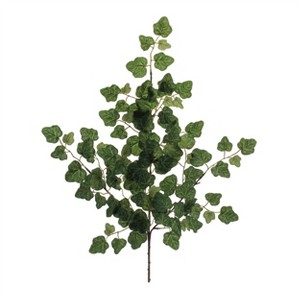 Ivy Foliage Spray (Set of 6) - 1 of 3