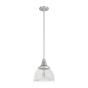 Hunter Fans Cypress Grove 1 - Light Pendant in  Brushed Nickel - 1 of 3