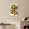 Art Remedy Orange Oasis Glow Vintage Prints Framed - 2 of 4
