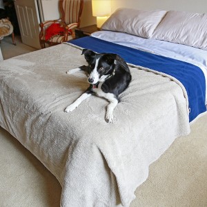 Kritter Planet King Size Waterproof Pets Blanket for Dogs, 100% Leakproof Bed Cover, Reversible Protector for Couch Furniture, Washable, Stain Proof - 1 of 4