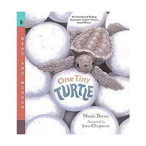 one tiny turtle by nicola davies