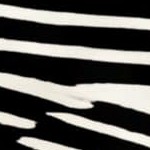 black/white