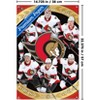 Trends International NHL Ottawa Senators - Team 25 Unframed Wall Poster Prints - 3 of 4