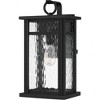Quoizel Lighting Moira 1 - Light Sconce in  Earth Black - 2 of 4
