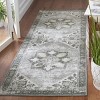Tucson Vintage Persian TSN102 Power Loomed Machine Washable Skid-Resistant Indoor Rugs - Safavieh - 2 of 4