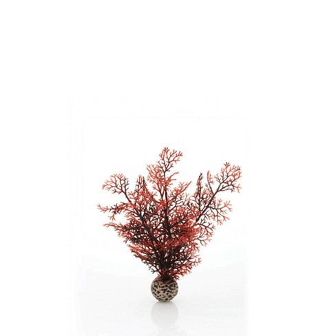 Extra Large Fan Coral Sculpture – biOrb