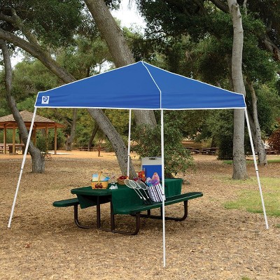 Z-Shade 10' x 10' Horizon Angled Leg Shade Canopy Shelter with Screenroom Walls