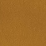 florida a&m rattlers