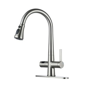 CASAINC Kitchen Faucet with Pull Down Sprayer Efficient Cleaning for with Deck Plate - 1 of 4