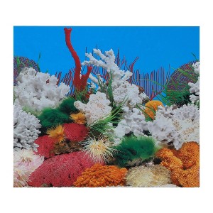 Unique Bargains Aquarium Background Poster Double-sided Fish Tank Background Decorative Pictures PVC 1 Pc - 1 of 4