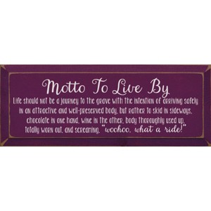 Slickblue Woohoo What a Ride Wall Sign – Wine & Chocolate Life Quote – Rustic Wood Decor for Home – 7x18, Color Options - 1 of 3