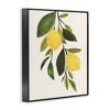 Stupell Industries Simple Yellow Country Lemon Leaf, 11" x 14" - 3 of 4