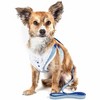 Angel Sar 2-in-1 Mesh Dog Harness with Leash & Bowtie, Reversible Stripe Vest with Swivel Hook, Adjustable No-Pull Pet Harness for Small Medium Dogs - 2 of 4