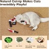 Potaroma 4Pcs Cat Toys, Horror Knife-Shaped Kitten Catnip Crinkly Sound Toys - 3 of 3