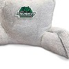 NCAA Binghamton Bearcats Faux Fur Backrest Pillow - 2 of 3