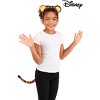 HalloweenCostumes.com    Disney Winnie the Pooh Tigger Ears Headband and Tail Kit, Black/Orange - 3 of 4