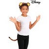 HalloweenCostumes.com    Disney Winnie the Pooh Tigger Ears Headband and Tail Kit, Black/Orange - image 3 of 4