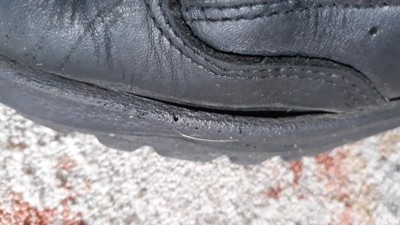 Guest review image 1 of 1, zoom in