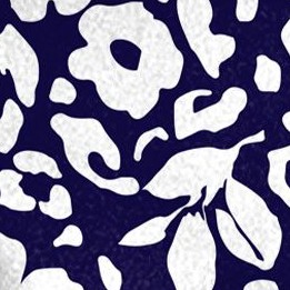 wild navy