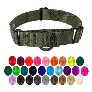 Country Brook Petz Martingale Heavyduty Training Collar with No Buckle - Service Collar for All Dogs - Vibrant, Colorful Collection - 1 of 4
