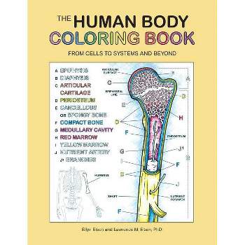 The Human Body Coloring Book - (Coloring Concepts) by  Coloring Concepts Inc (Paperback)