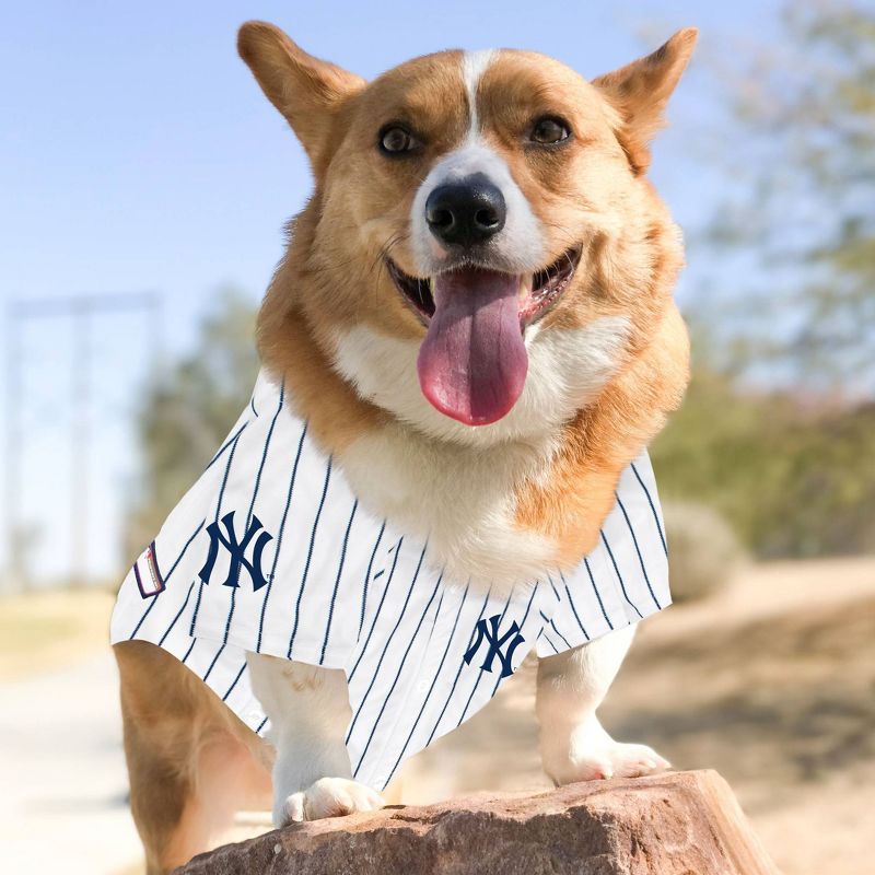MLB New York Yankees Pets Jersey, 4 of 5