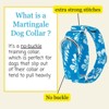 Country Brook Petz HossFit Jr Wide Martingale Dog Collar - Summer Breeze Collection - 2 of 4