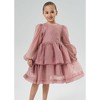 2Bunnies Girls' Organza Long Sleeve Tiered Babydoll Skater Dress - 3 of 4