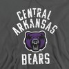University of Central Arkansas Official Bears Logo Adult Pull-Over Hoodie - 2 of 4