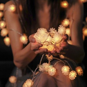 Perfect Holiday 10 LED Soft Plastic Pine Cone Light Set - Warm White - 1 of 4
